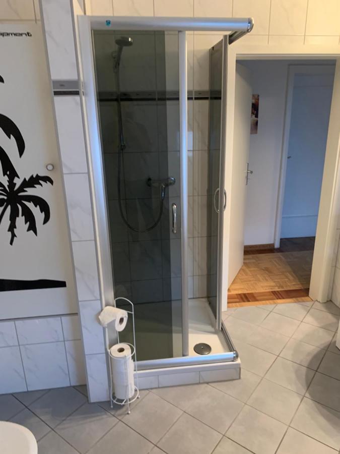 Mainpark Apartment 4 Schlafzimmer Bis Zu 10 Personen Direkt Ueber Aschaffapartment Bei Aschaffenburg Mainaschaff Eksteriør bilde